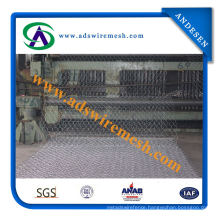 (low carbon steel wire) Gabion Mesh (ADS-GM-11)